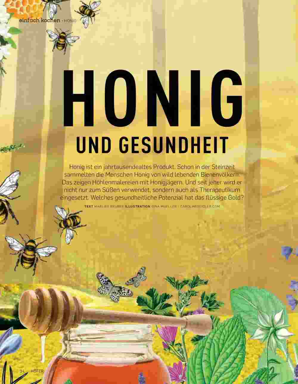 Hofer Flugblatt (ab 01.04.2025) - Angebote und Prospekt - Seite 34