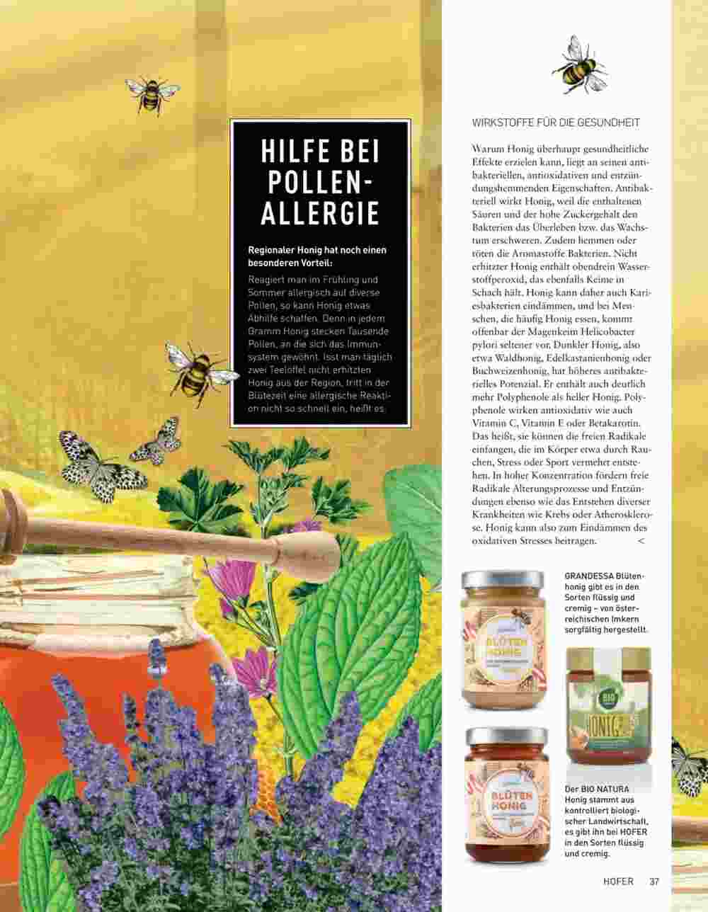 Hofer Flugblatt (ab 01.04.2025) - Angebote und Prospekt - Seite 37