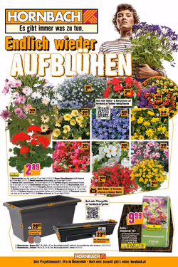 Hornbach Flugblatt (ab 16.04.2025) - Angebote und Prospekt