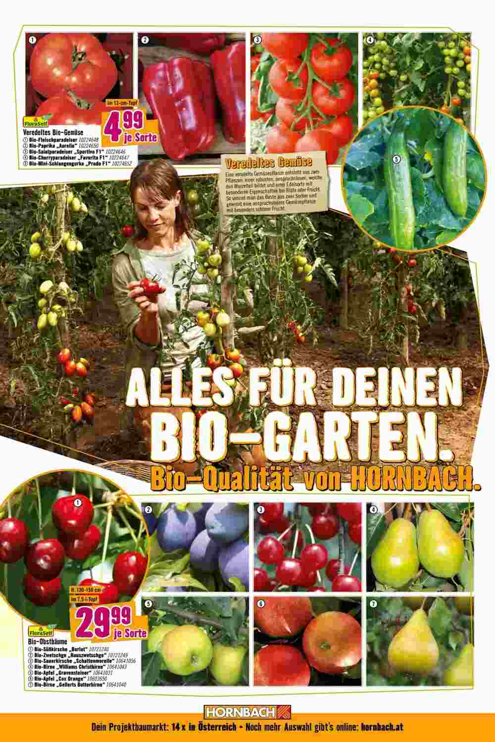 Hornbach Flugblatt (ab 16.04.2025) - Angebote und Prospekt - Seite 2