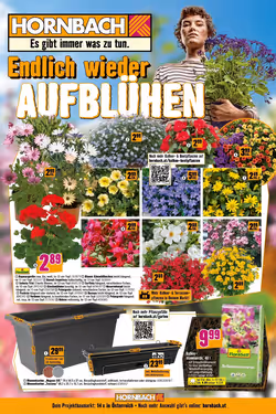 Hornbach Flugblatt (ab 16.04.2025) - Angebote und Prospekt