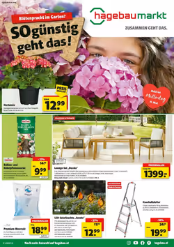 Hagebau Flugblatt (ab 23.04.2025) - Angebote und Prospekt