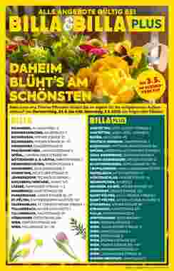 Billa Flugblatt (ab 24.04.2025) - Angebote und Prospekt