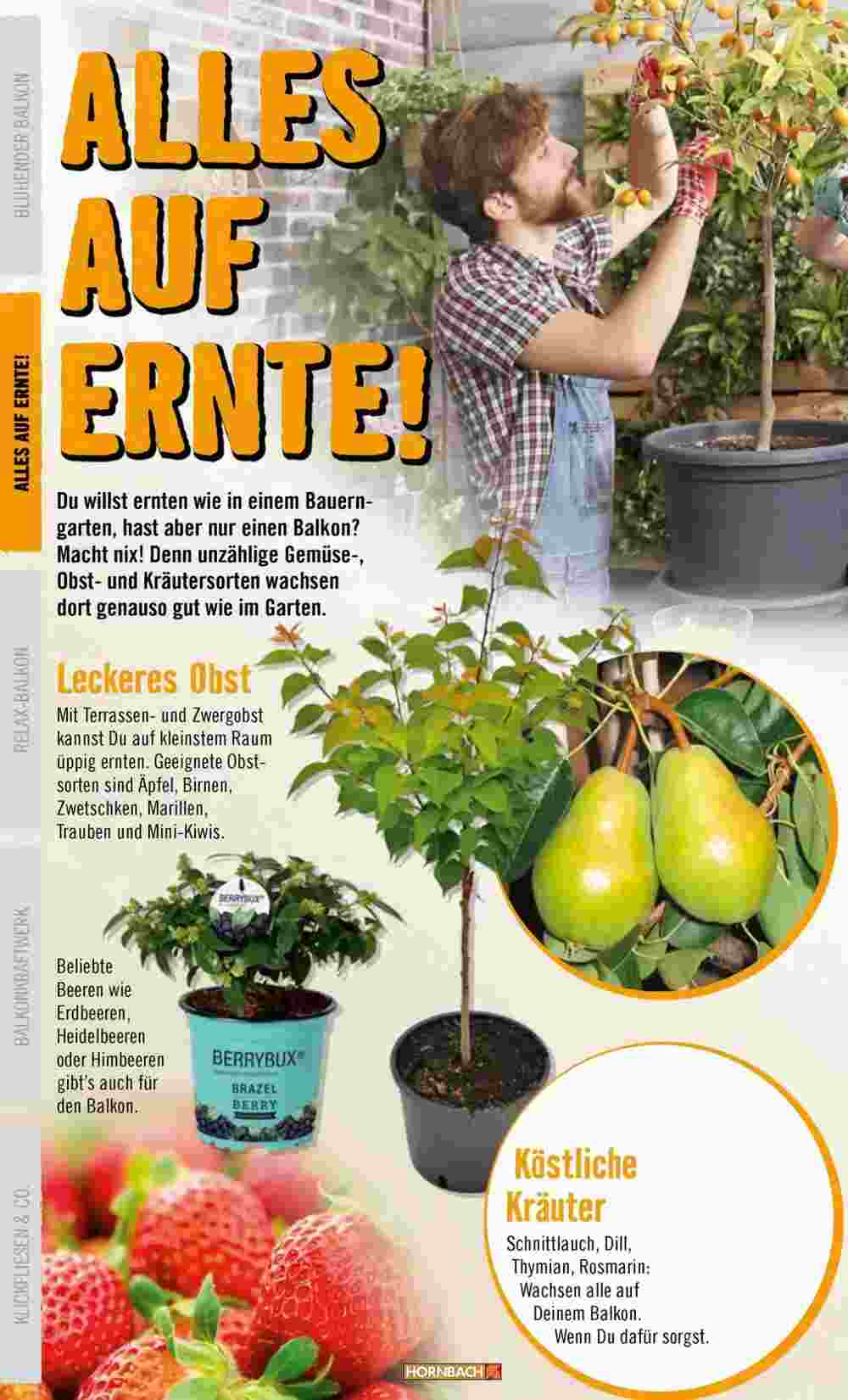 Hornbach Flugblatt (ab 24.04.2025) - Angebote und Prospekt - Seite 10