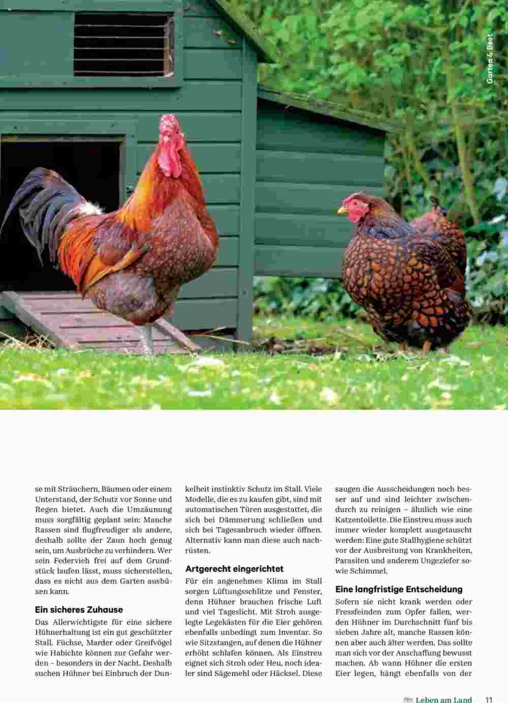 Lagerhaus Flugblatt (ab 28.04.2025) - Angebote und Prospekt - Seite 11