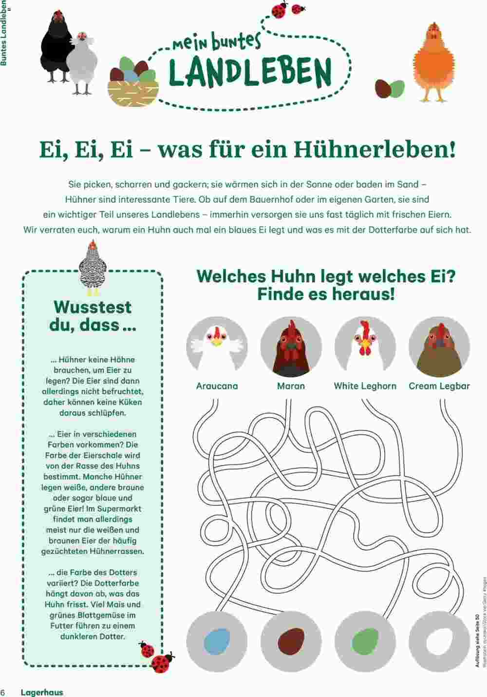 Lagerhaus Flugblatt (ab 28.04.2025) - Angebote und Prospekt - Seite 6