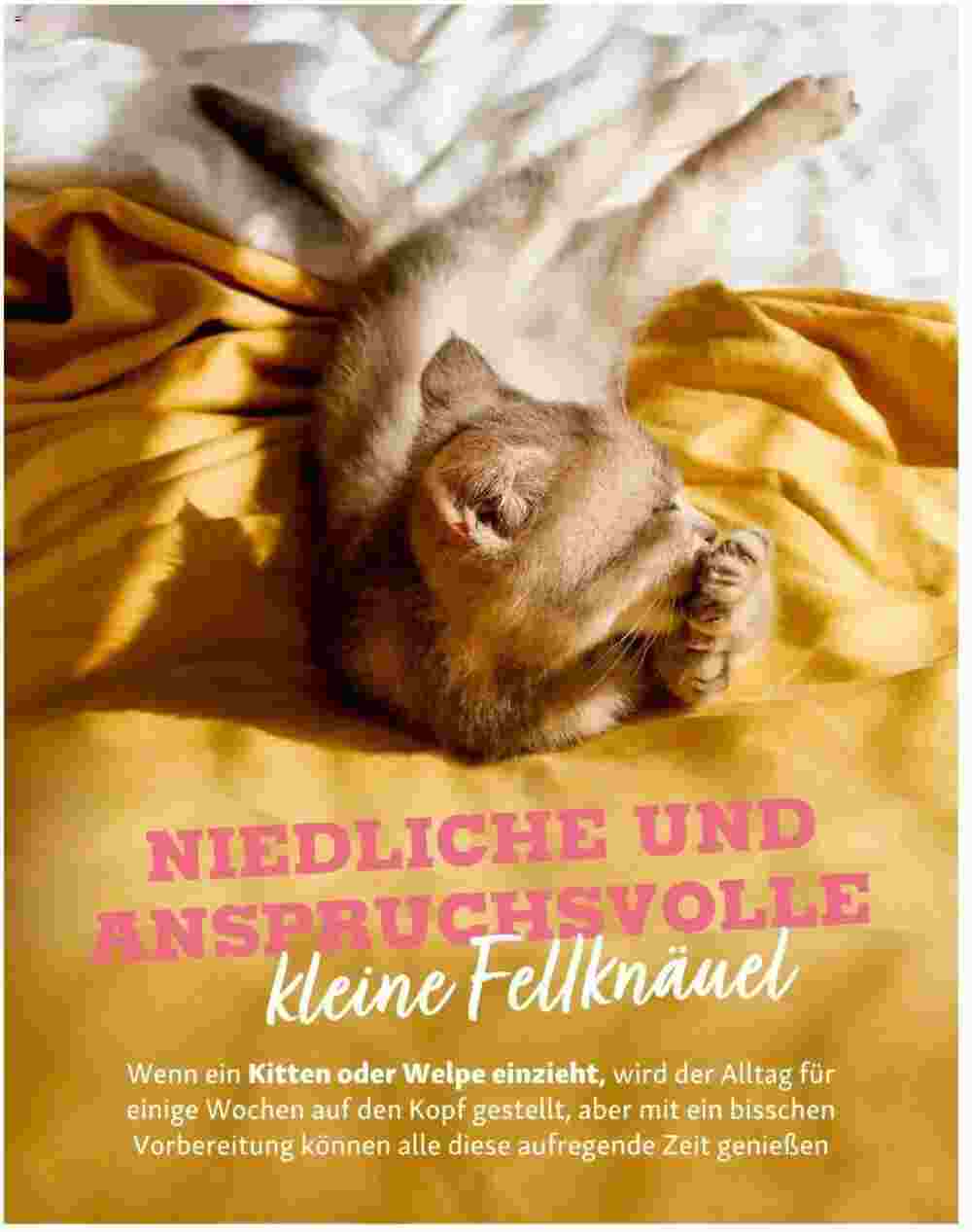 Fressnapf Flugblatt (ab 01.05.2025) - Angebote und Prospekt - Seite 16