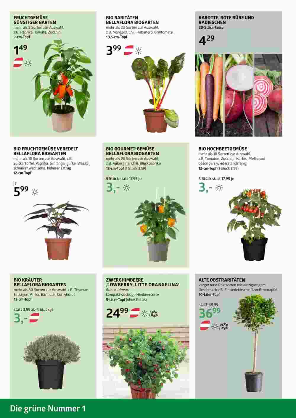 Bellaflora Flugblatt (ab 02.05.2025) - Angebote und Prospekt - Seite 10