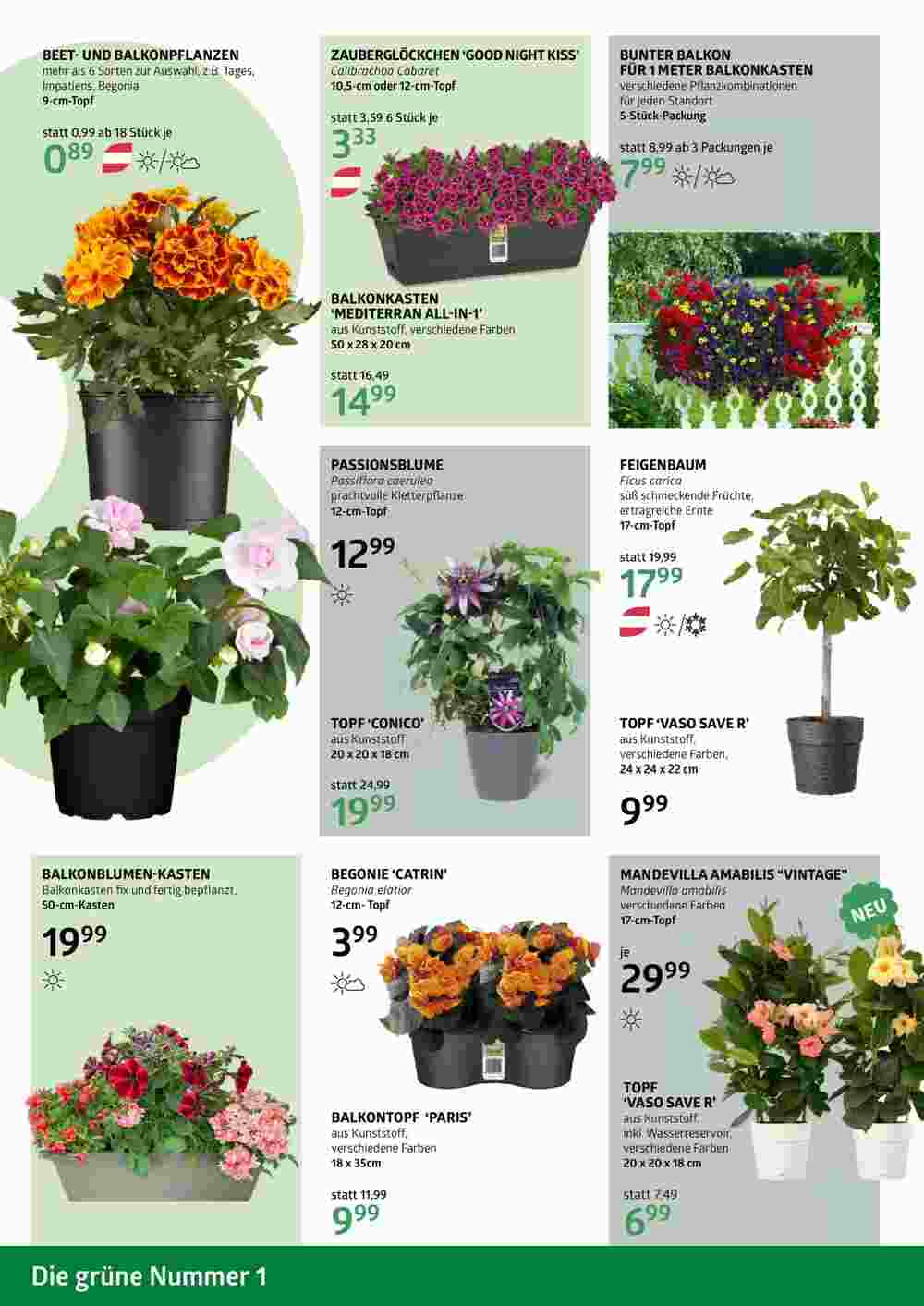 Bellaflora Flugblatt (ab 02.05.2025) - Angebote und Prospekt - Seite 2