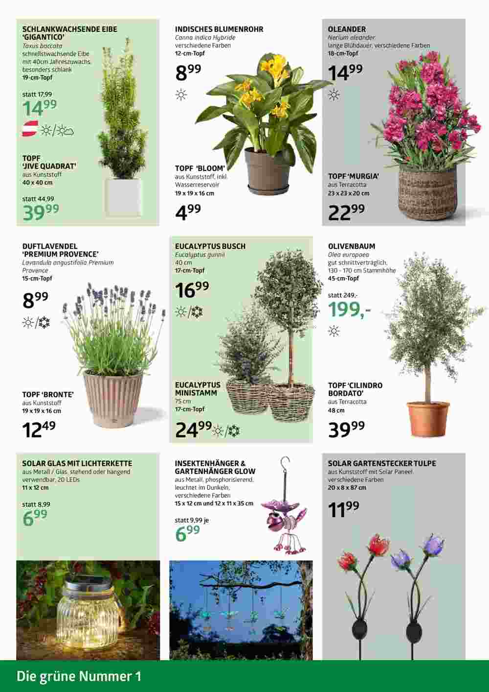 Bellaflora Flugblatt (ab 02.05.2025) - Angebote und Prospekt - Seite 4