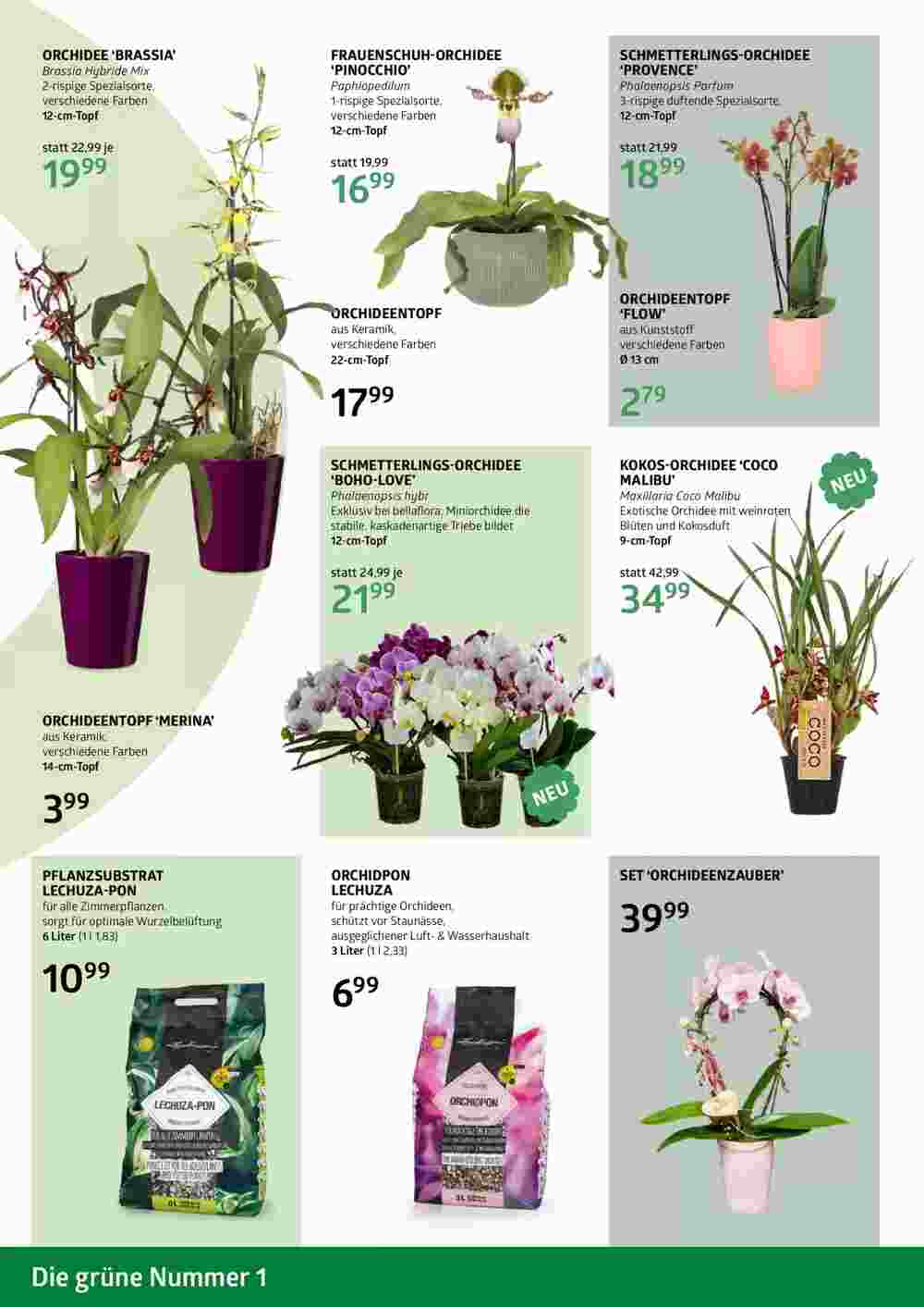 Bellaflora Flugblatt (ab 02.05.2025) - Angebote und Prospekt - Seite 8