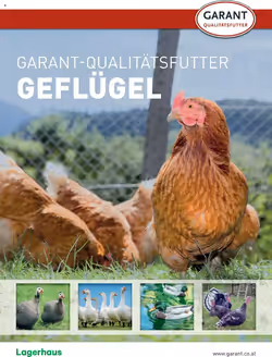 Lagerhaus Flugblatt (ab 05.05.2025) - Angebote und Prospekt