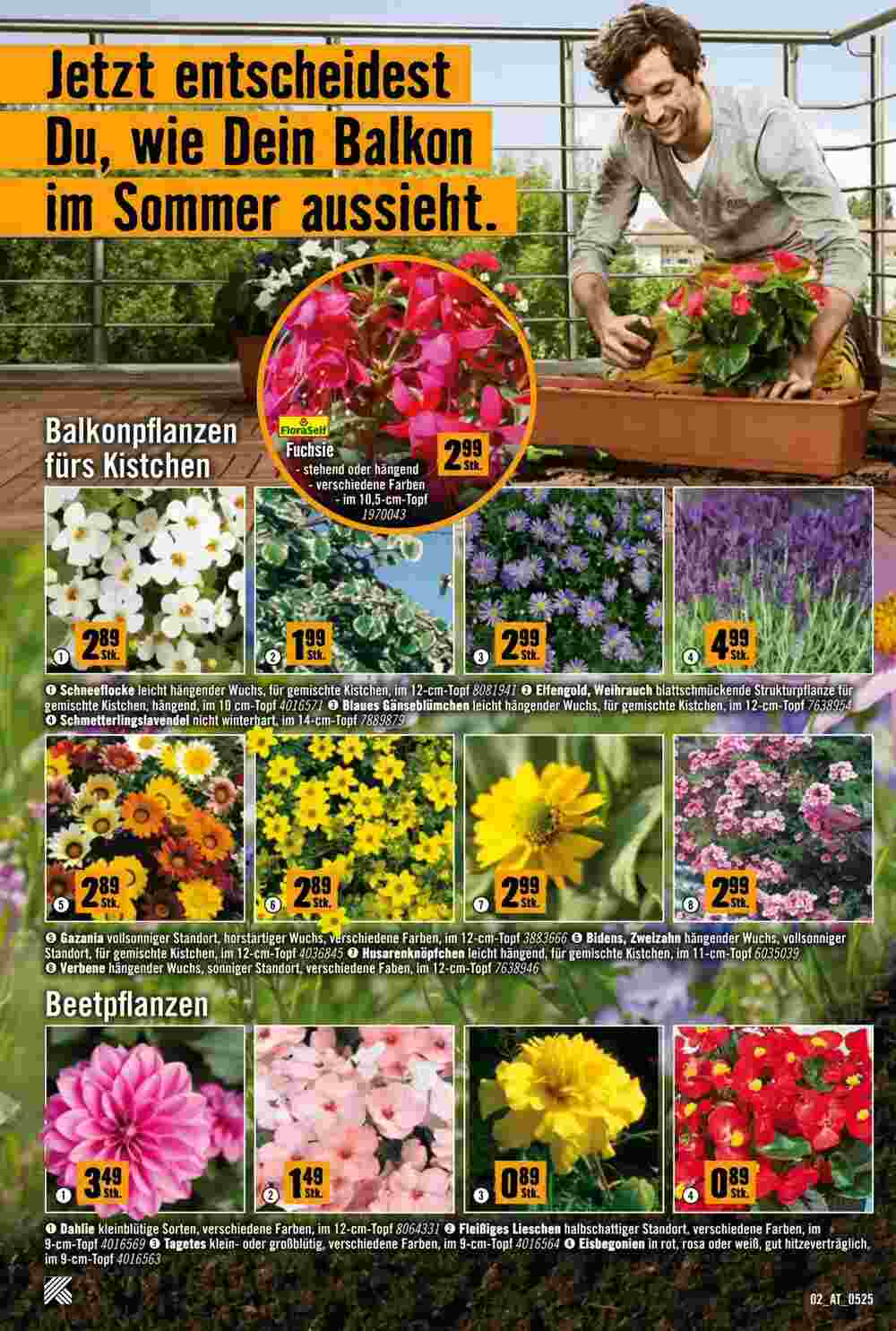 Hornbach Flugblatt (ab 07.05.2025) - Angebote und Prospekt - Seite 2