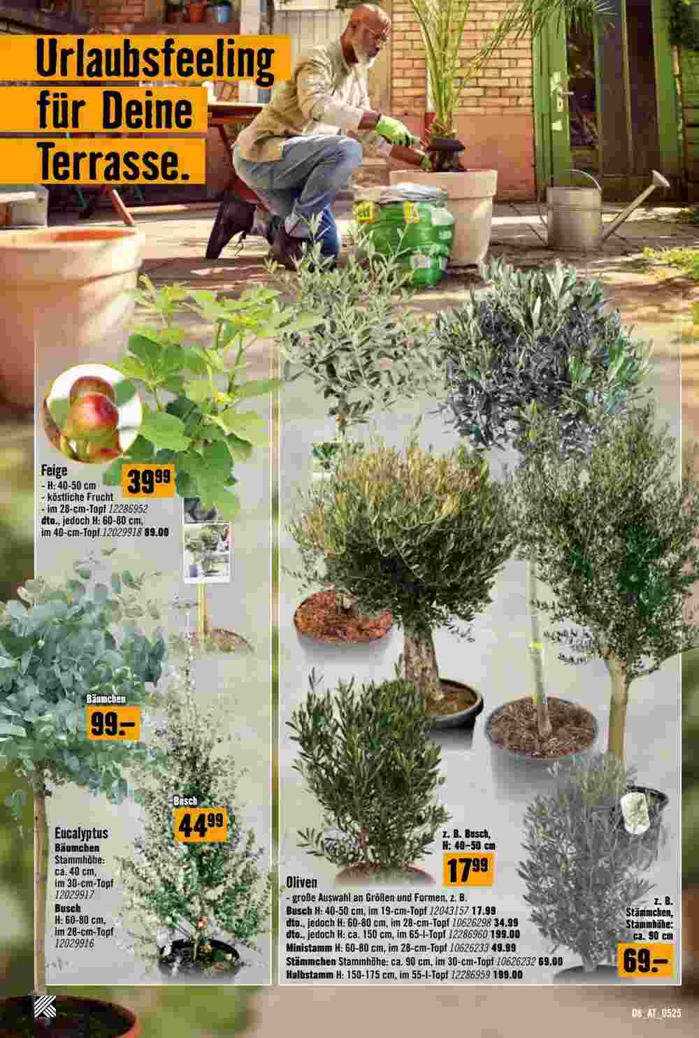 Hornbach Flugblatt (ab 07.05.2025) - Angebote und Prospekt - Seite 8