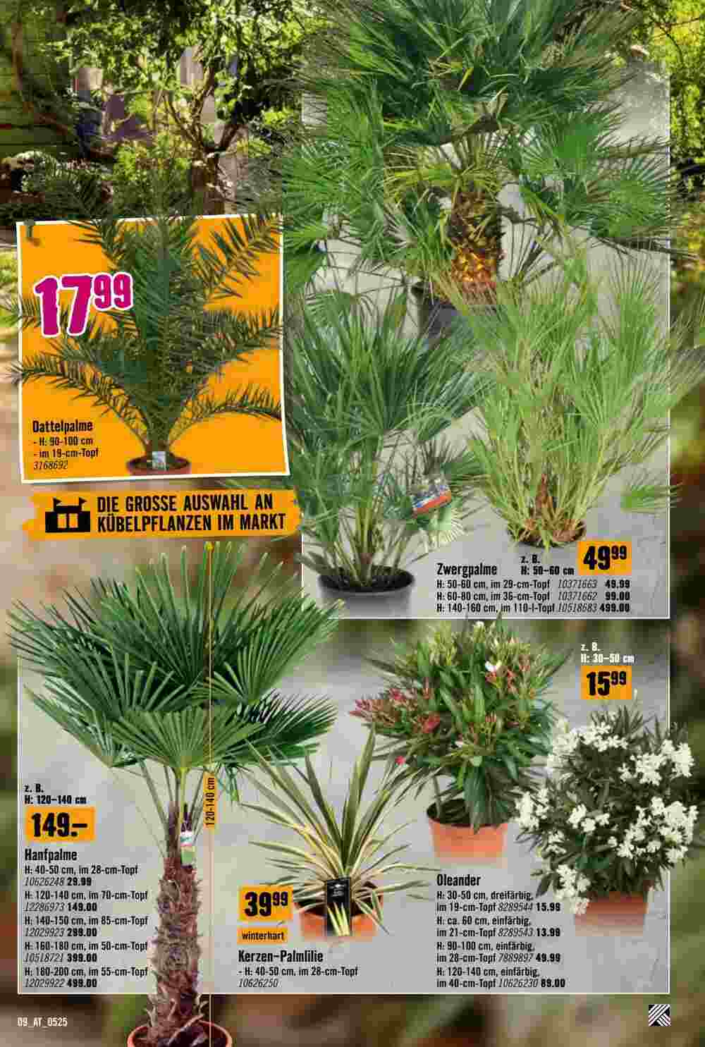 Hornbach Flugblatt (ab 07.05.2025) - Angebote und Prospekt - Seite 9