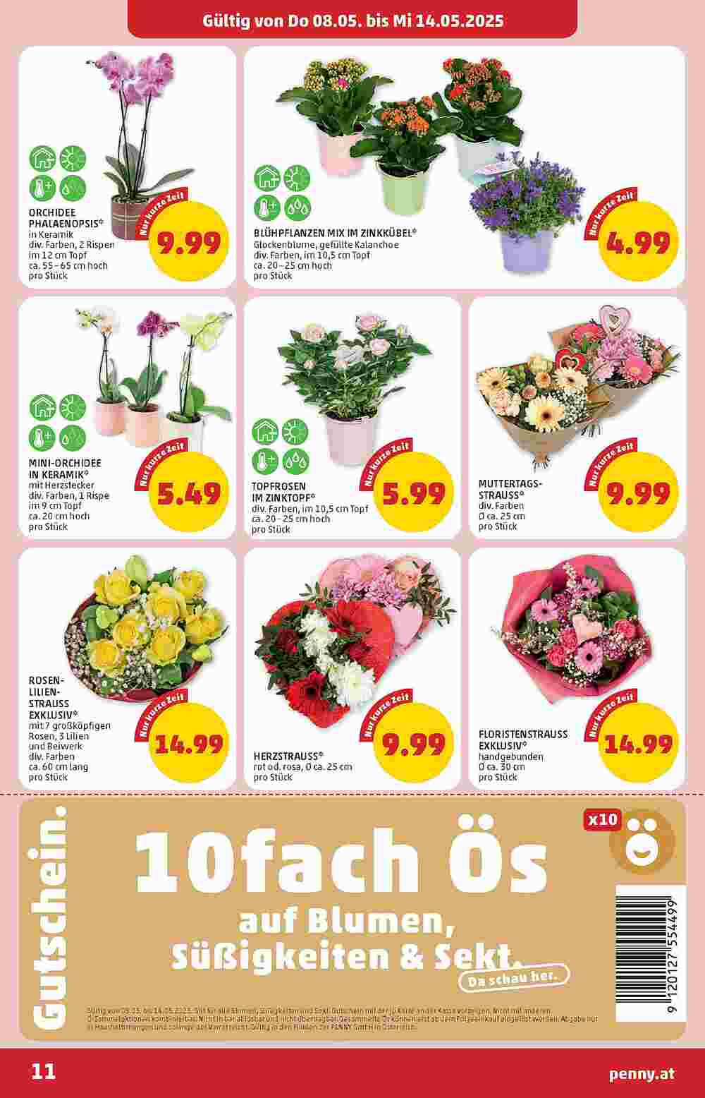 PENNY Flugblatt (ab 08.05.2025) - Angebote und Prospekt - Seite 11