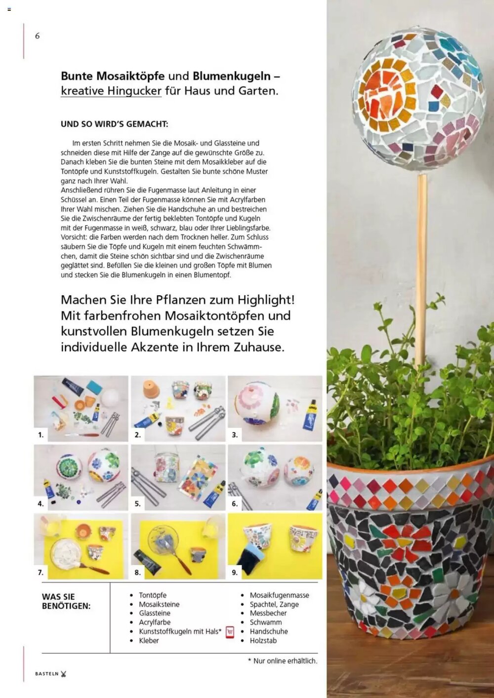 Pagro Diskont Flugblatt (ab 08.05.2025) - Angebote und Prospekt - Seite 6