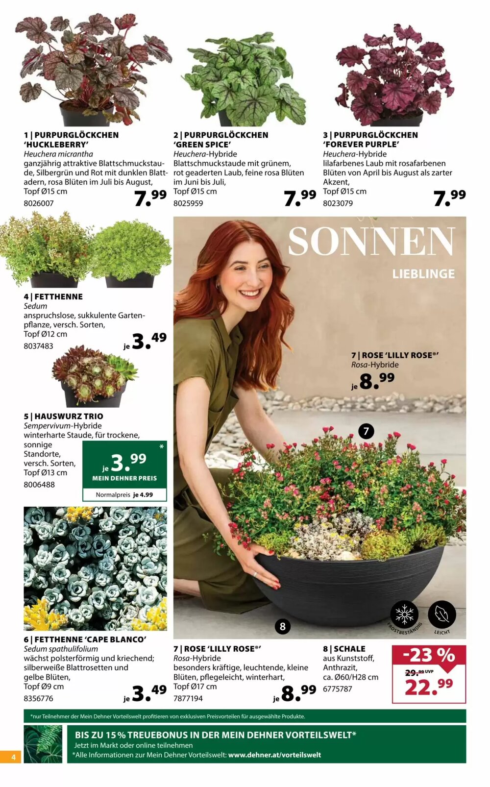 Dehner Flugblatt (ab 14.05.2025) - Angebote und Prospekt - Seite 4