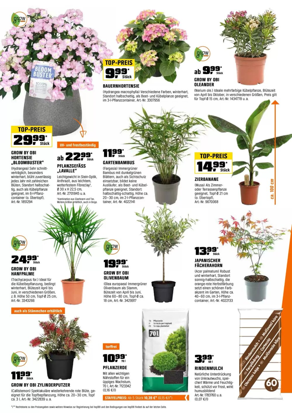 OBI Flugblatt (ab 16.05.2025) - Angebote und Prospekt - Seite 12