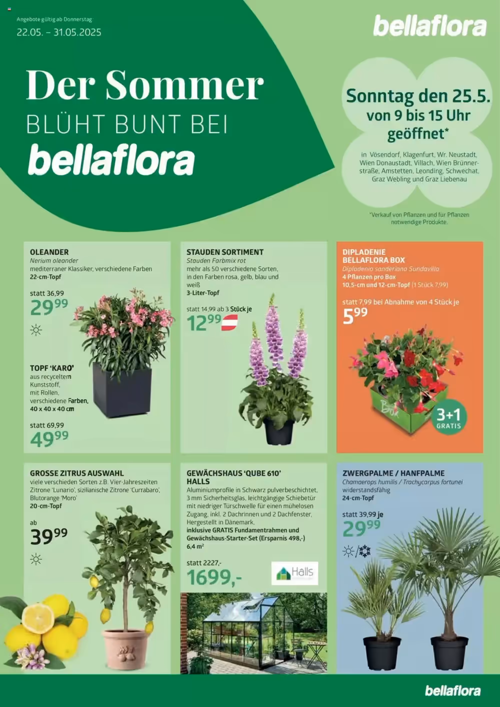 Bellaflora Flugblatt (ab 22.05.2025) - Angebote und Prospekt - Seite 1