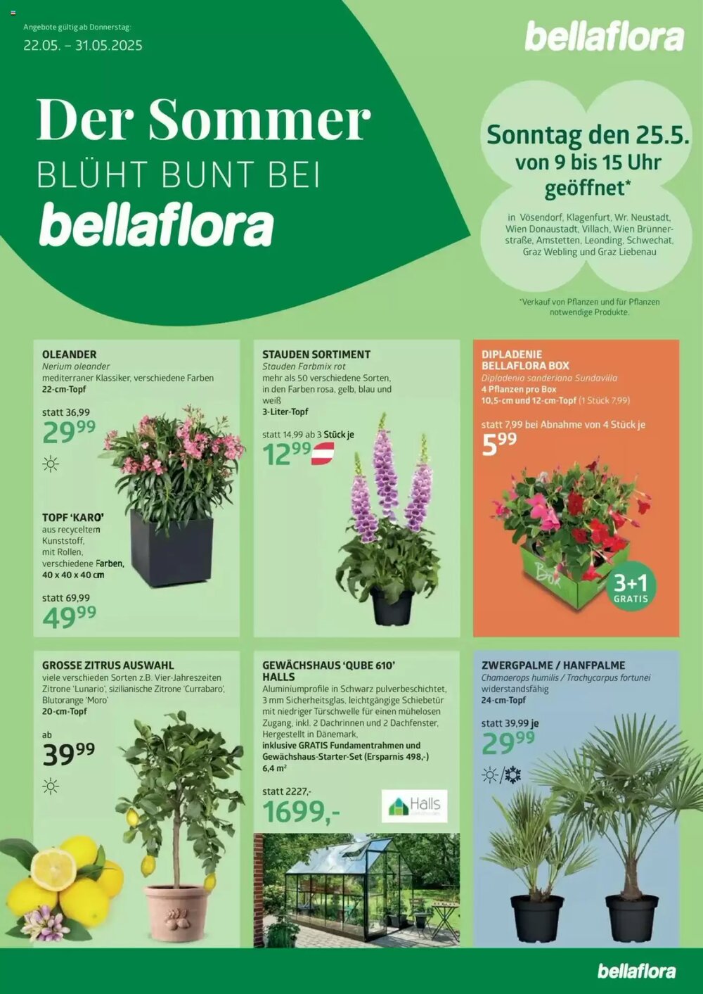 Bellaflora Flugblatt (ab 22.05.2025) - Angebote und Prospekt - Seite 1