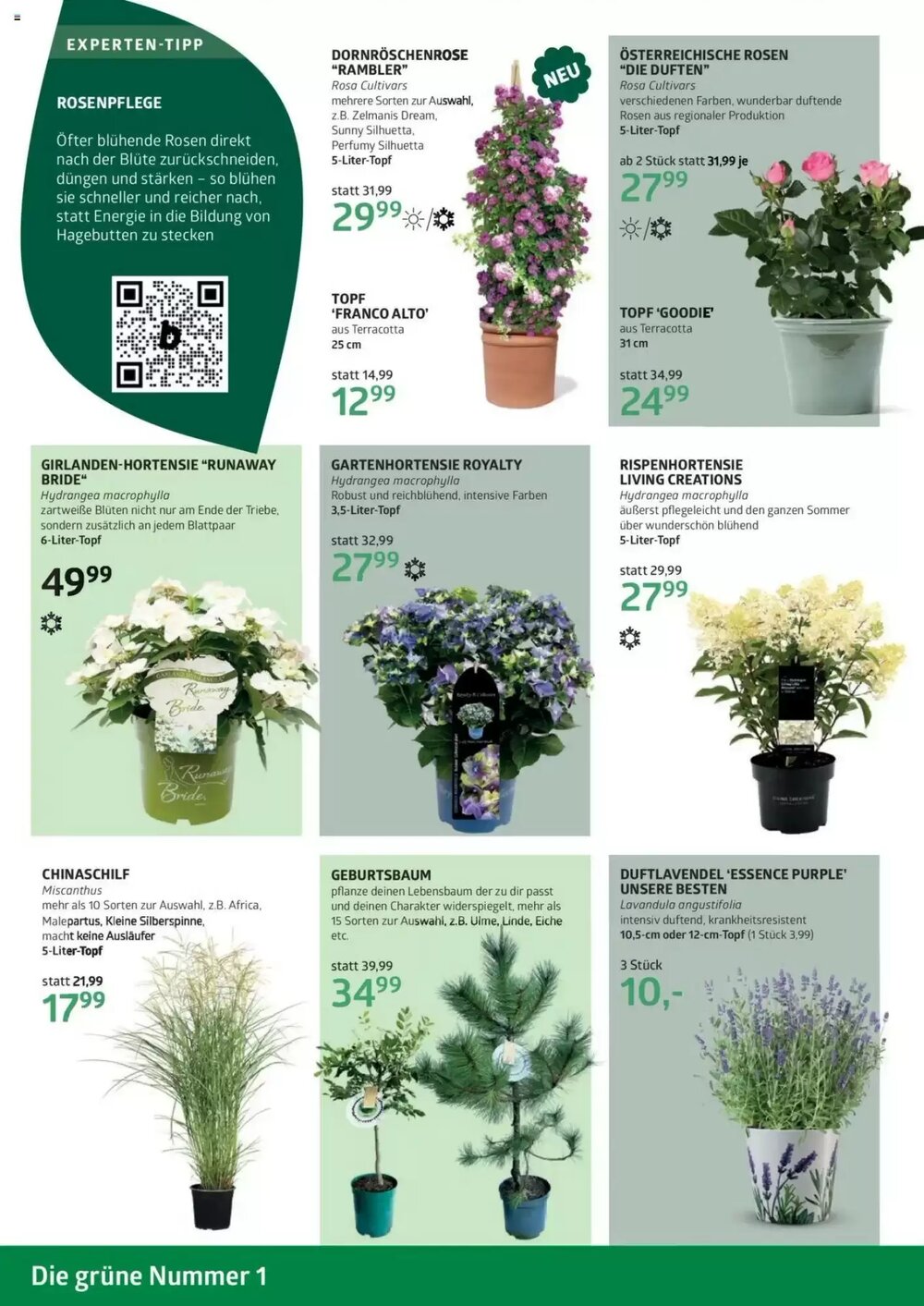 Bellaflora Flugblatt (ab 22.05.2025) - Angebote und Prospekt - Seite 2