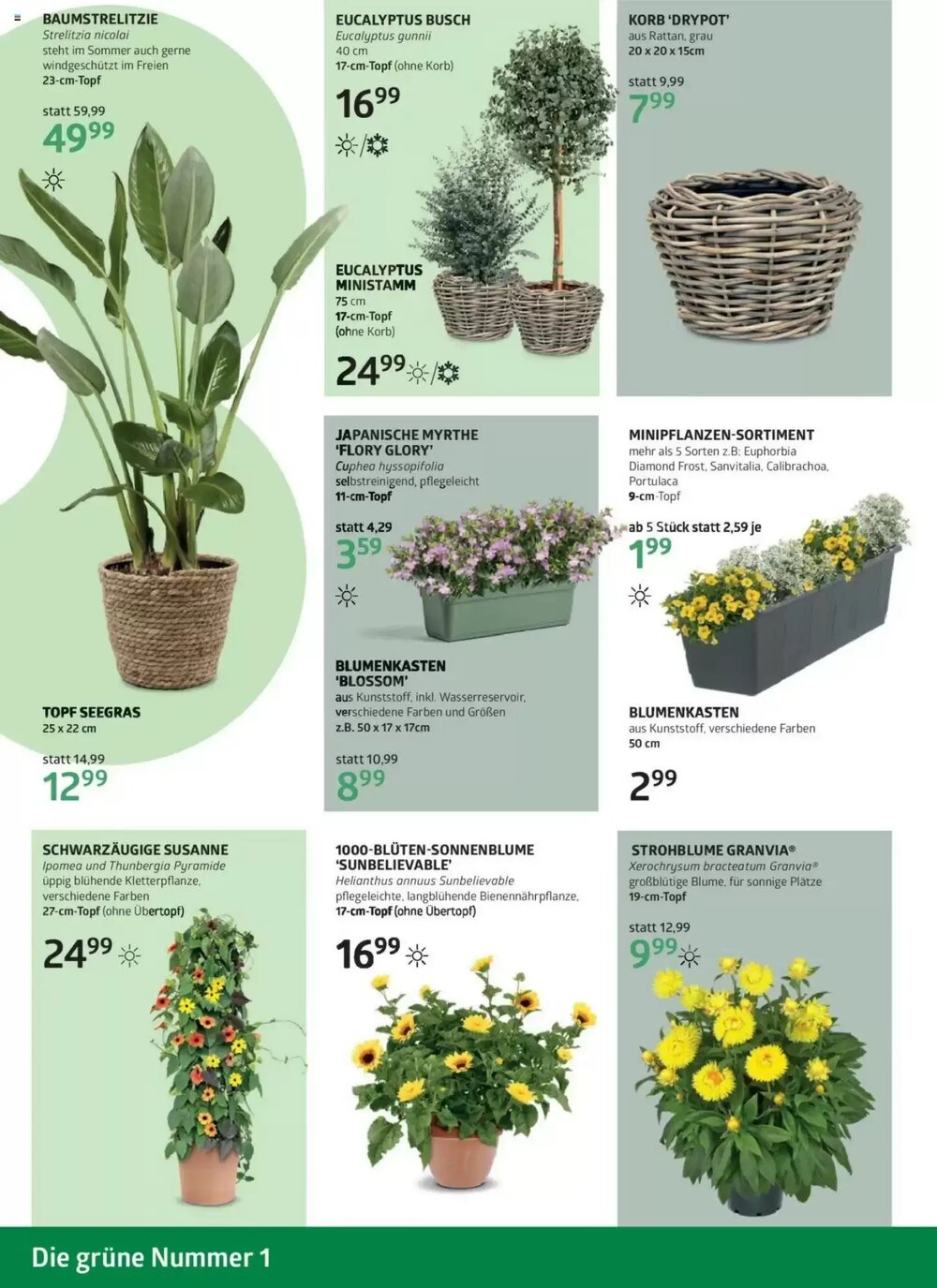 Bellaflora Flugblatt (ab 22.05.2025) - Angebote und Prospekt - Seite 4