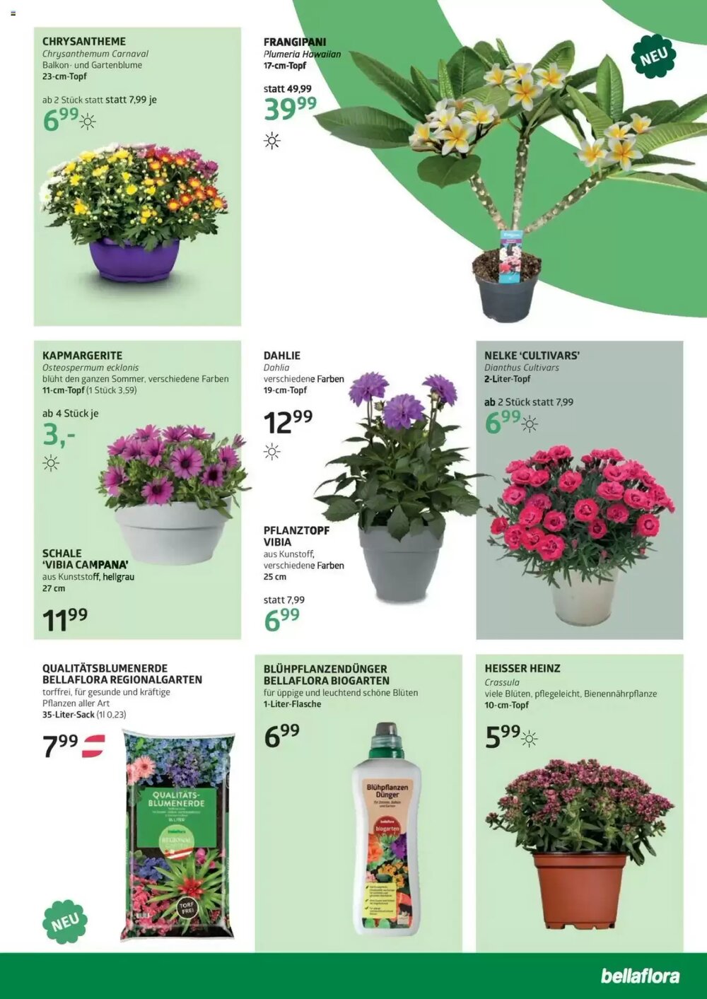 Bellaflora Flugblatt (ab 22.05.2025) - Angebote und Prospekt - Seite 5