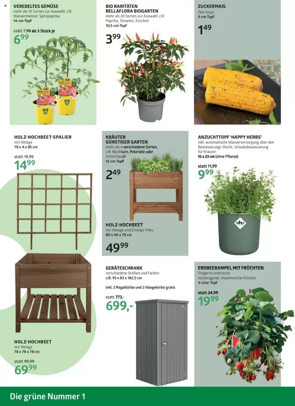 Bellaflora Flugblatt (ab 22.05.2025) - Angebote und Prospekt - Seite 6