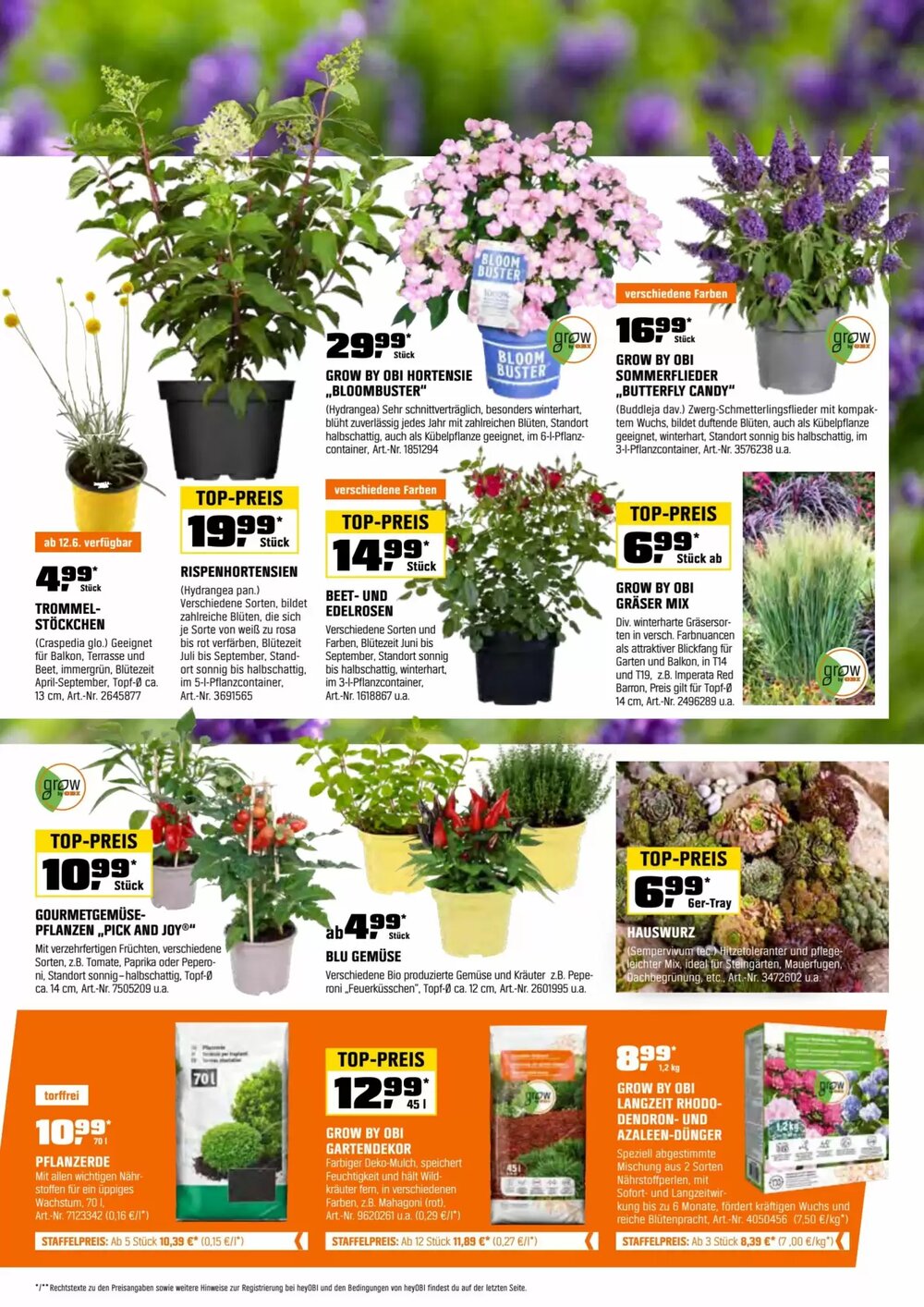 OBI Flugblatt (ab 30.05.2025) - Angebote und Prospekt - Seite 5