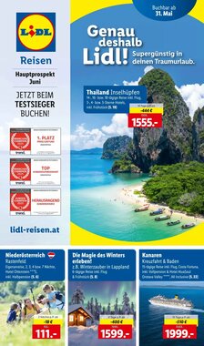 Lidl Reisen Flugblatt (ab 01.06.2025) - Angebote und Prospekt