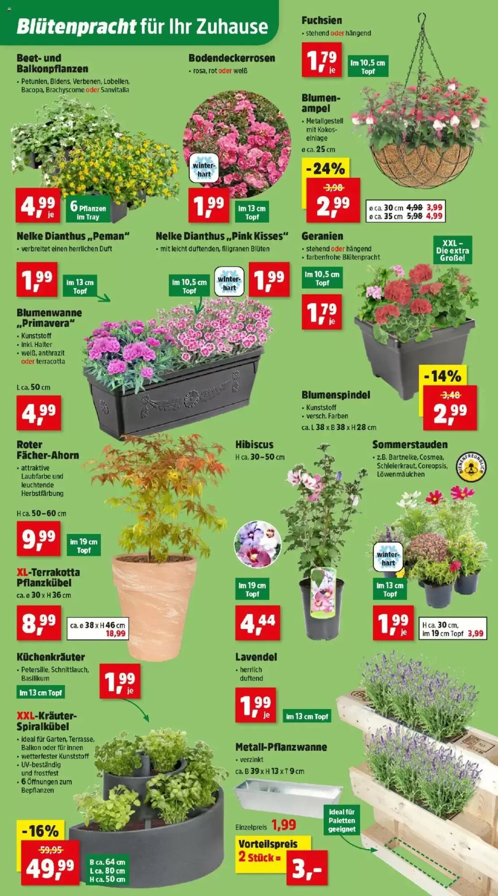 Thomas Philipps Flugblatt (ab 02.06.2025) - Angebote und Prospekt - Seite 3