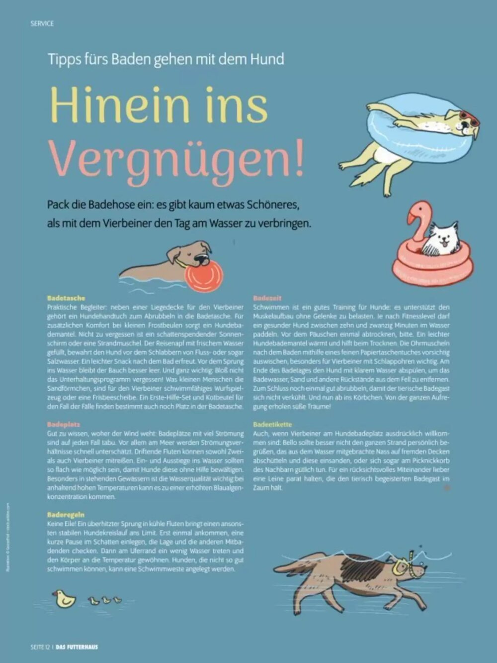 Das Futterhaus Flugblatt (ab 02.06.2025) - Angebote und Prospekt - Seite 12