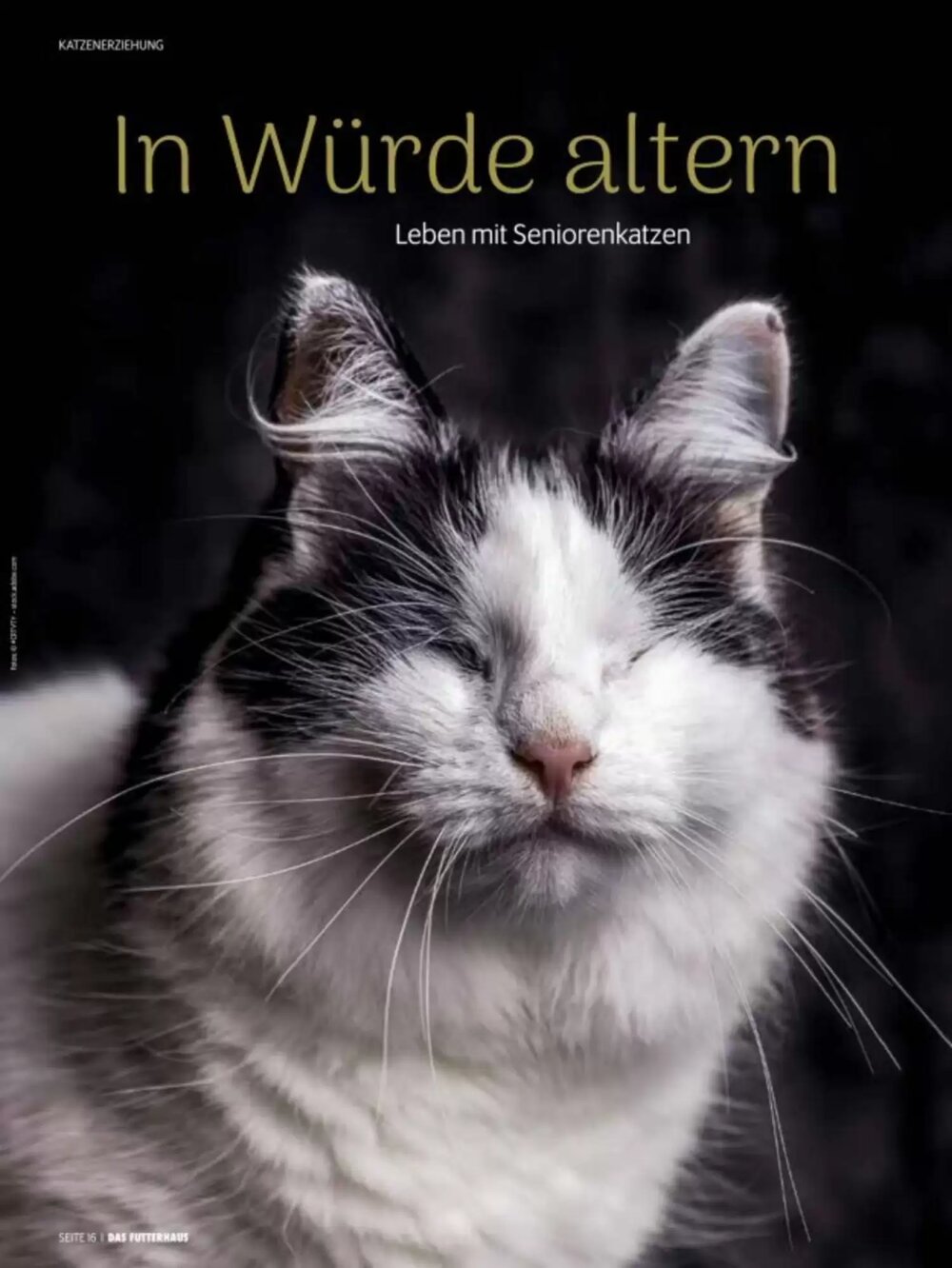 Das Futterhaus Flugblatt (ab 02.06.2025) - Angebote und Prospekt - Seite 16