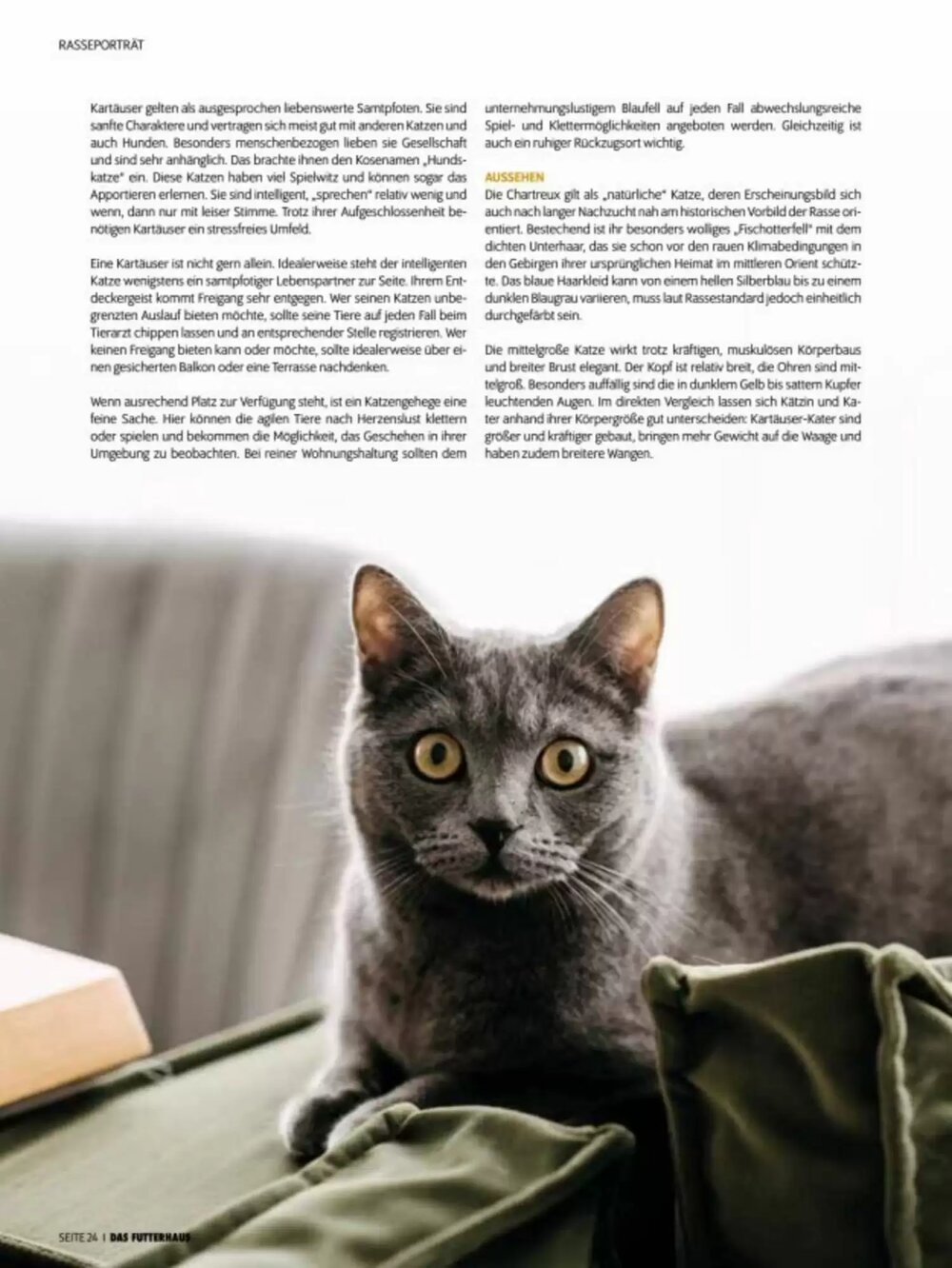 Das Futterhaus Flugblatt (ab 02.06.2025) - Angebote und Prospekt - Seite 24
