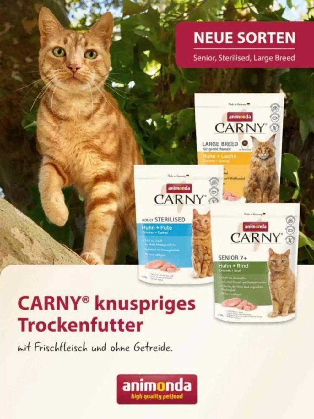 Das Futterhaus Flugblatt (ab 02.06.2025) - Angebote und Prospekt - Seite 26