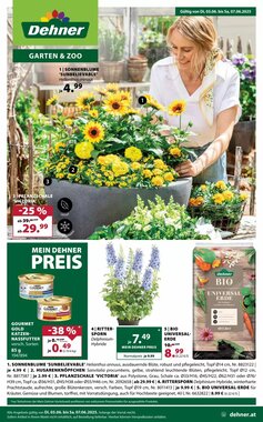 Dehner Flugblatt (ab 03.06.2025) - Angebote und Prospekt