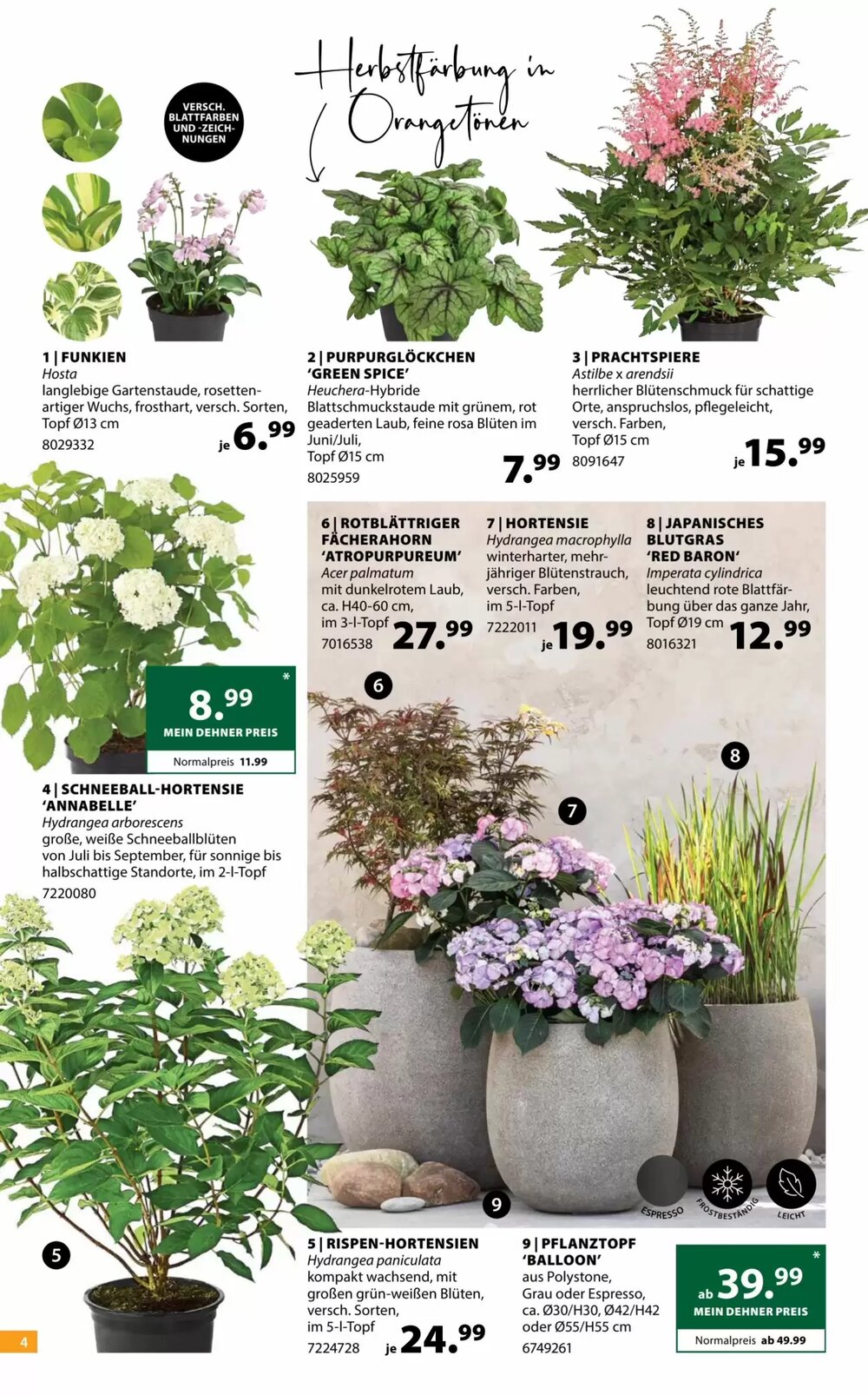 Dehner Flugblatt (ab 03.06.2025) - Angebote und Prospekt - Seite 4