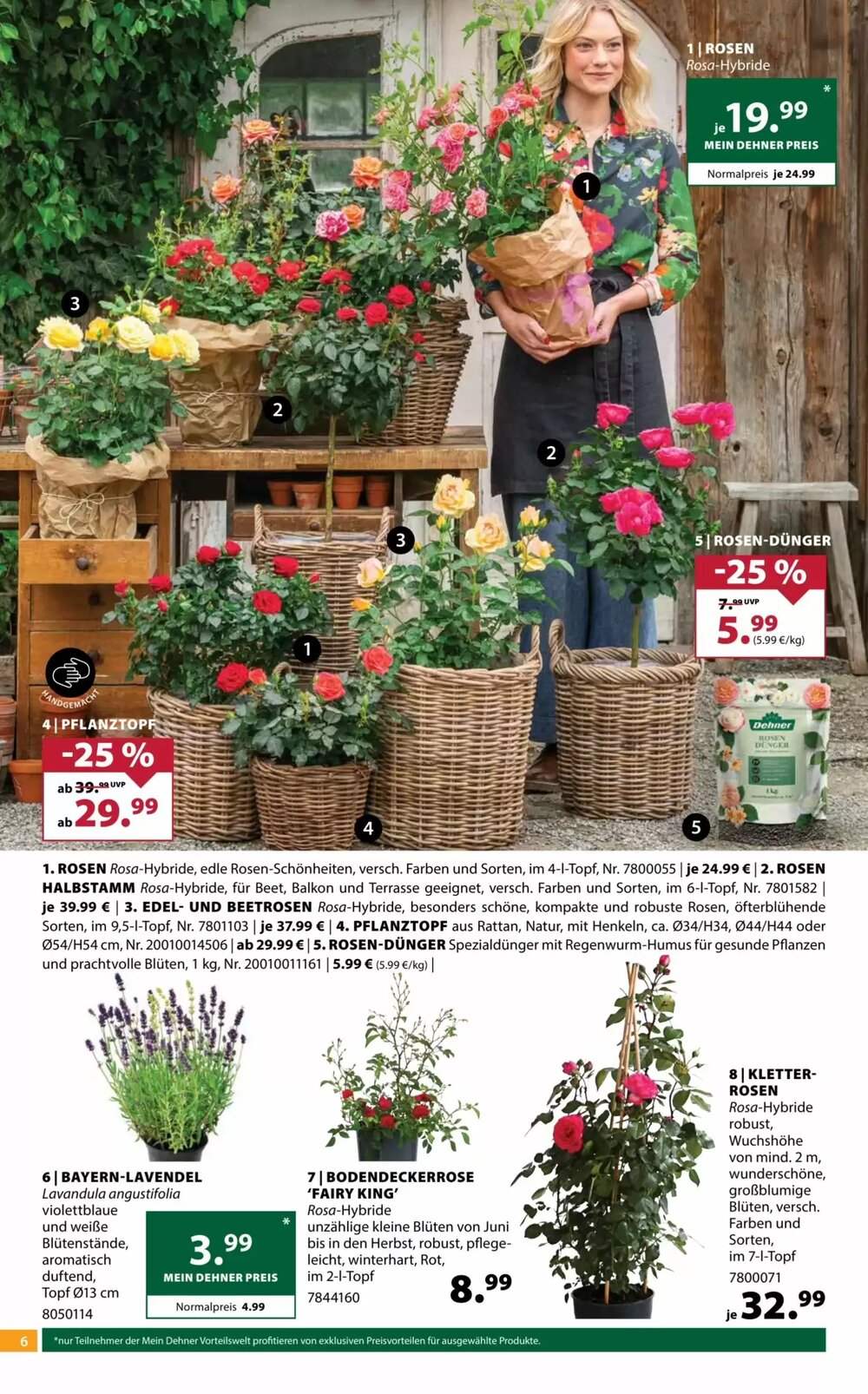 Dehner Flugblatt (ab 03.06.2025) - Angebote und Prospekt - Seite 6