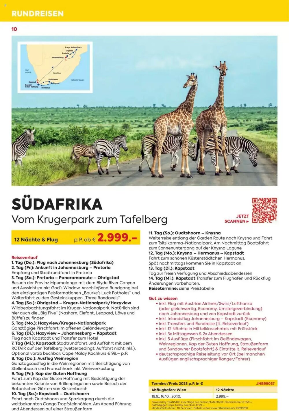 Billa Reisen Flugblatt (ab 03.06.2025) - Angebote und Prospekt - Seite 10
