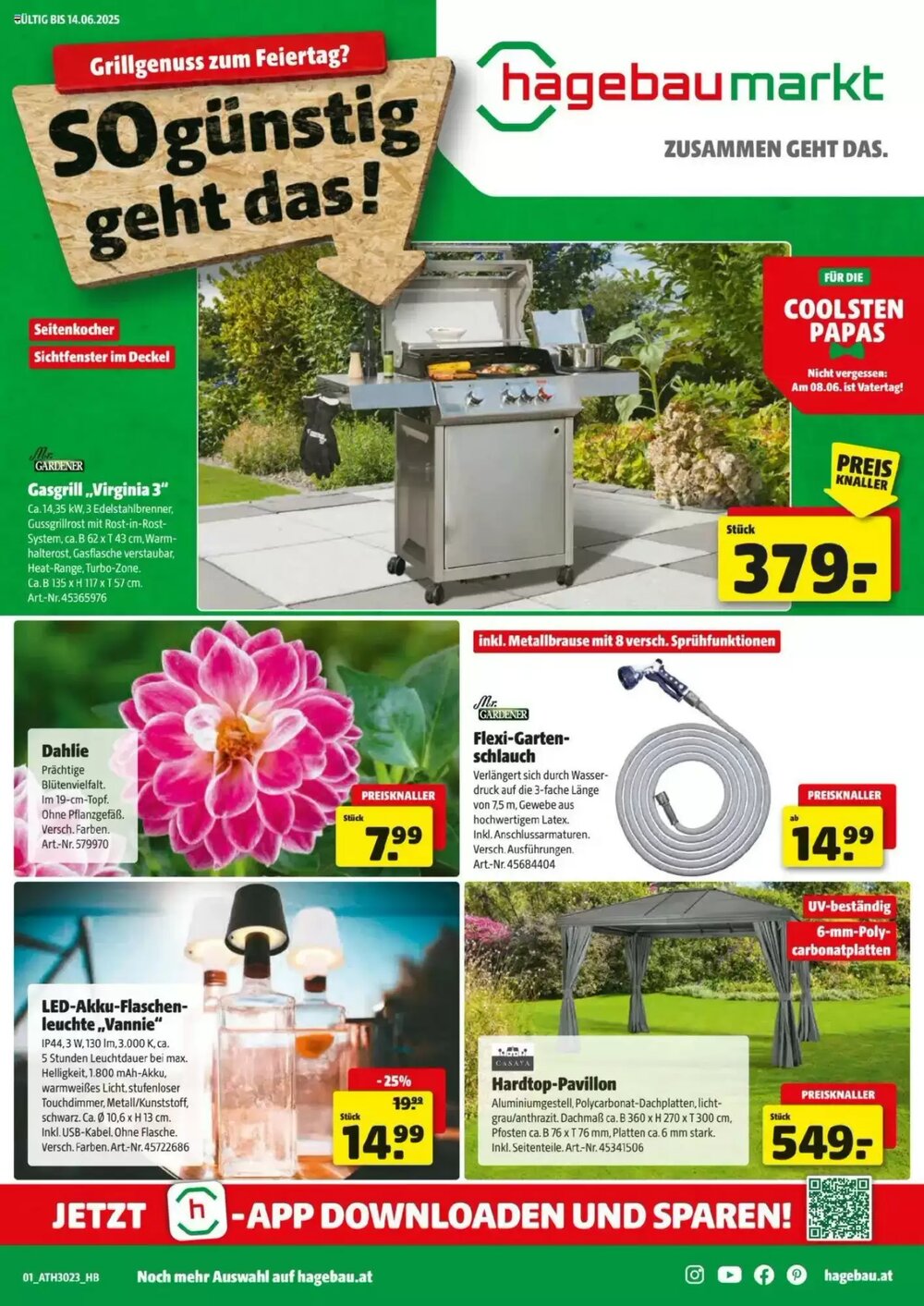 Hagebau Flugblatt (ab 04.06.2025) - Angebote und Prospekt - Seite 1