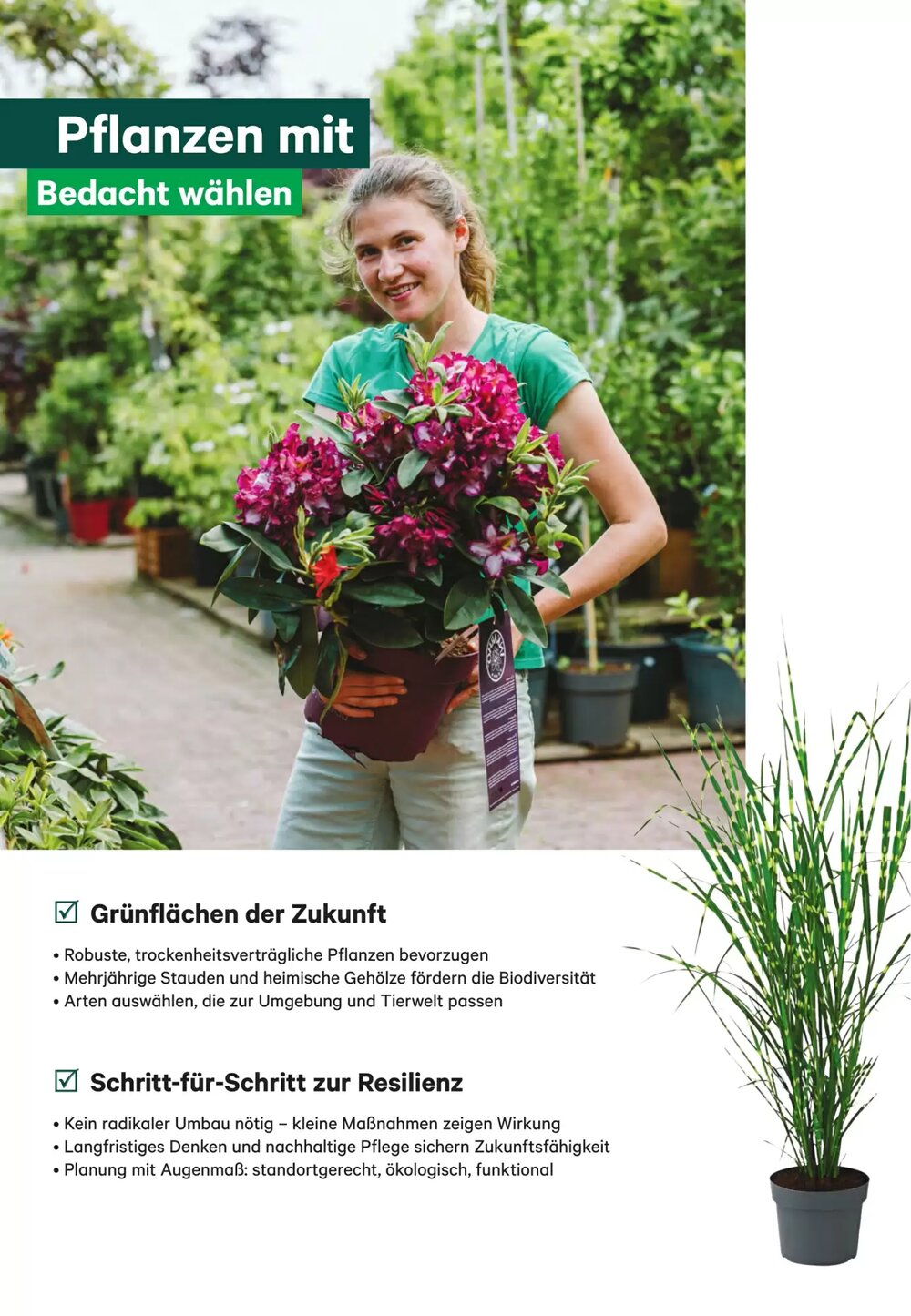 BayWa Flugblatt (ab 17.06.2025) - Angebote und Prospekt - Seite 6