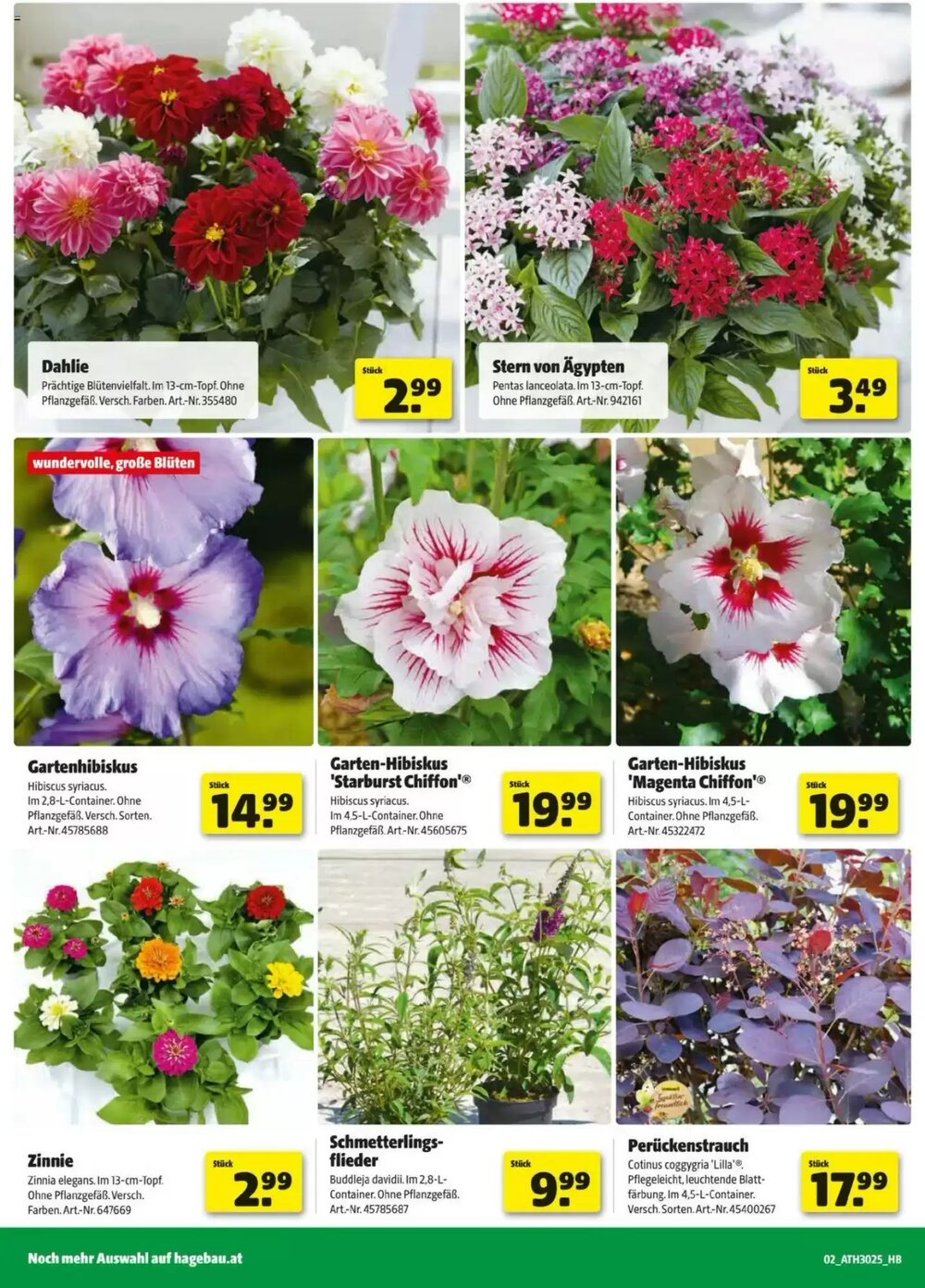 Hagebau Flugblatt (ab 18.06.2025) - Angebote und Prospekt - Seite 2