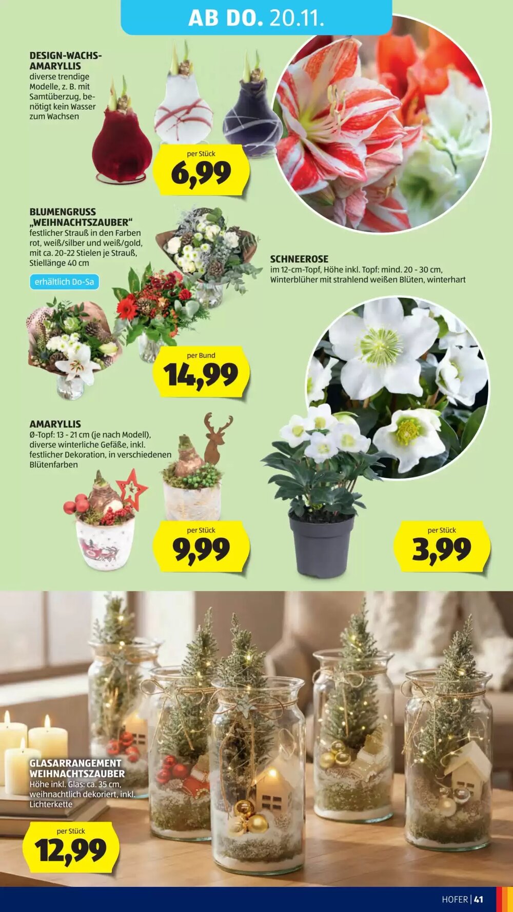 Hofer Flugblatt (ab 14.11.2025) - Angebote und Prospekt - Seite 49