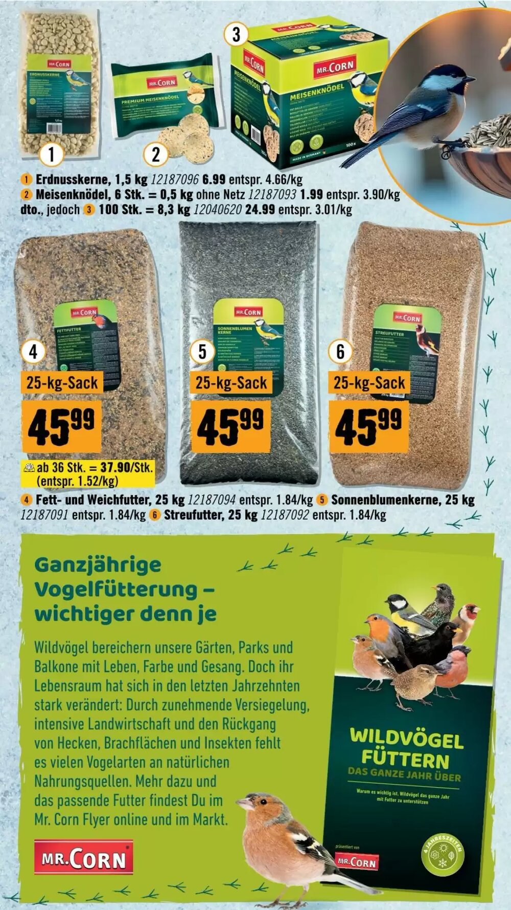 Hornbach Flugblatt (ab 19.11.2025) - Angebote und Prospekt - Seite 15
