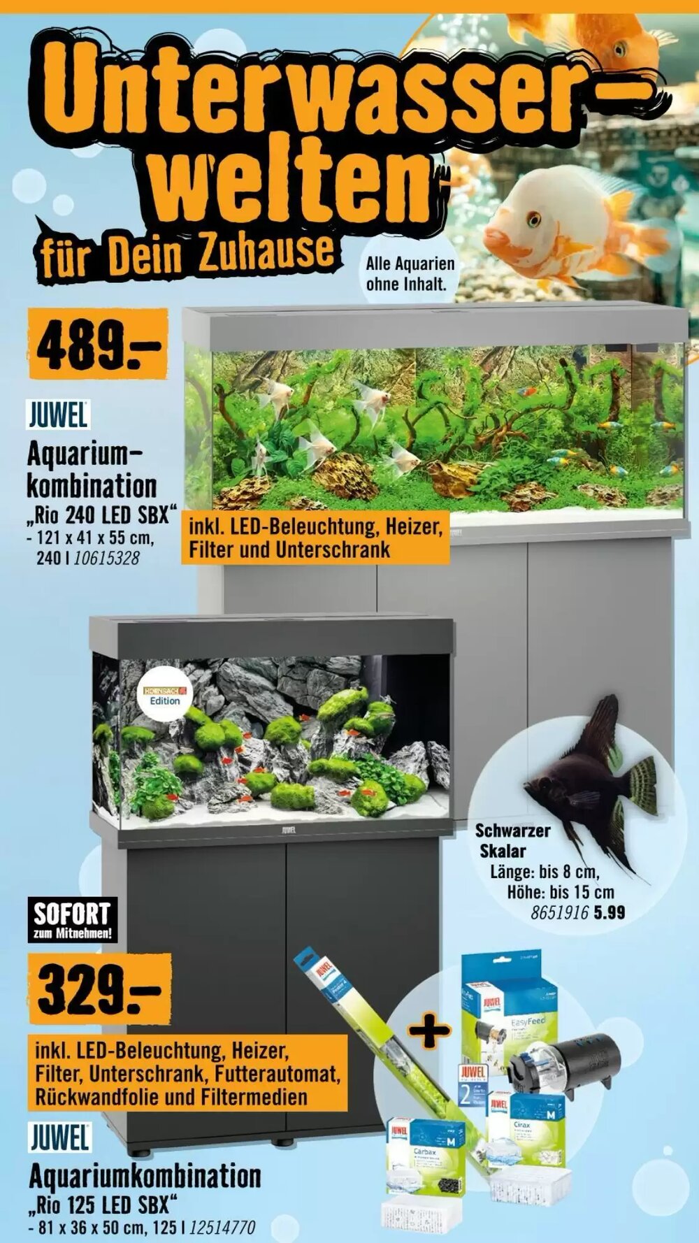 Hornbach Flugblatt (ab 19.11.2025) - Angebote und Prospekt - Seite 2