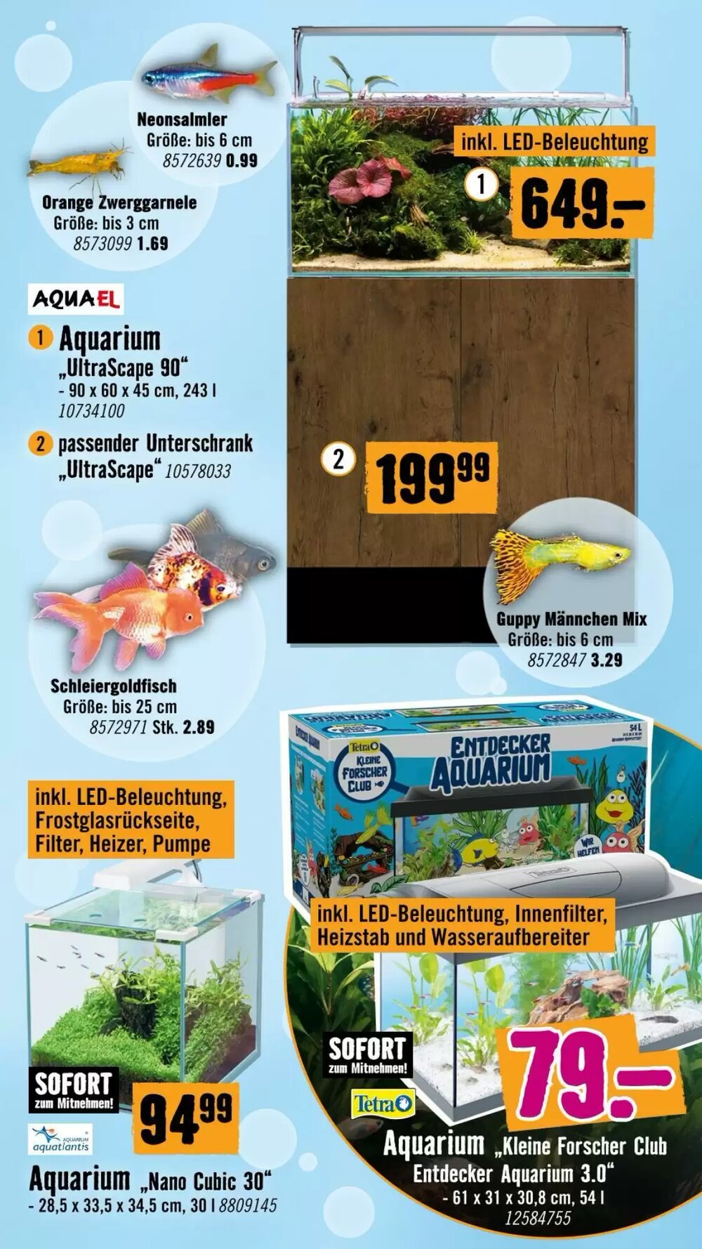 Hornbach Flugblatt (ab 19.11.2025) - Angebote und Prospekt - Seite 3