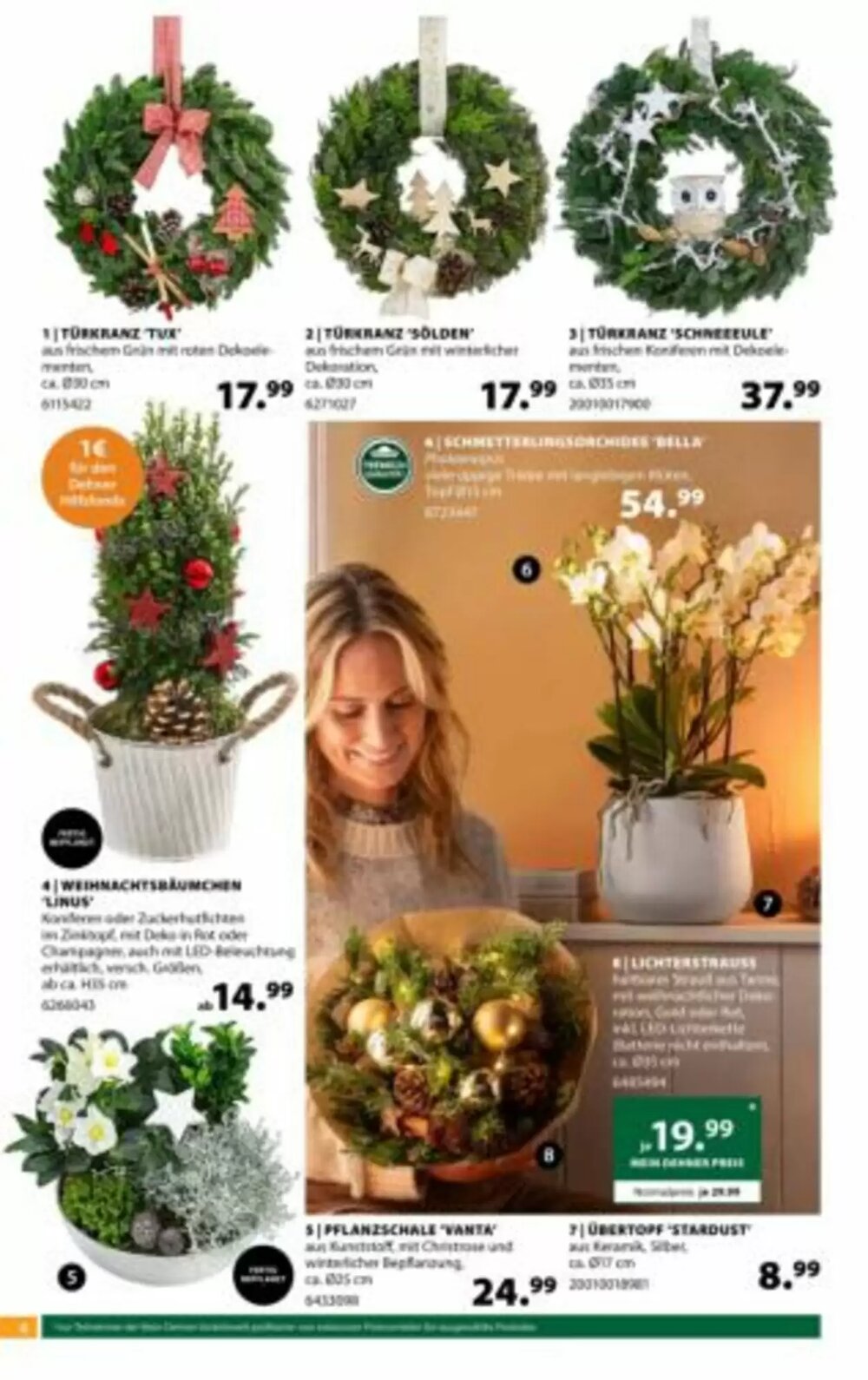 Dehner Flugblatt (ab 19.11.2025) - Angebote und Prospekt - Seite 6