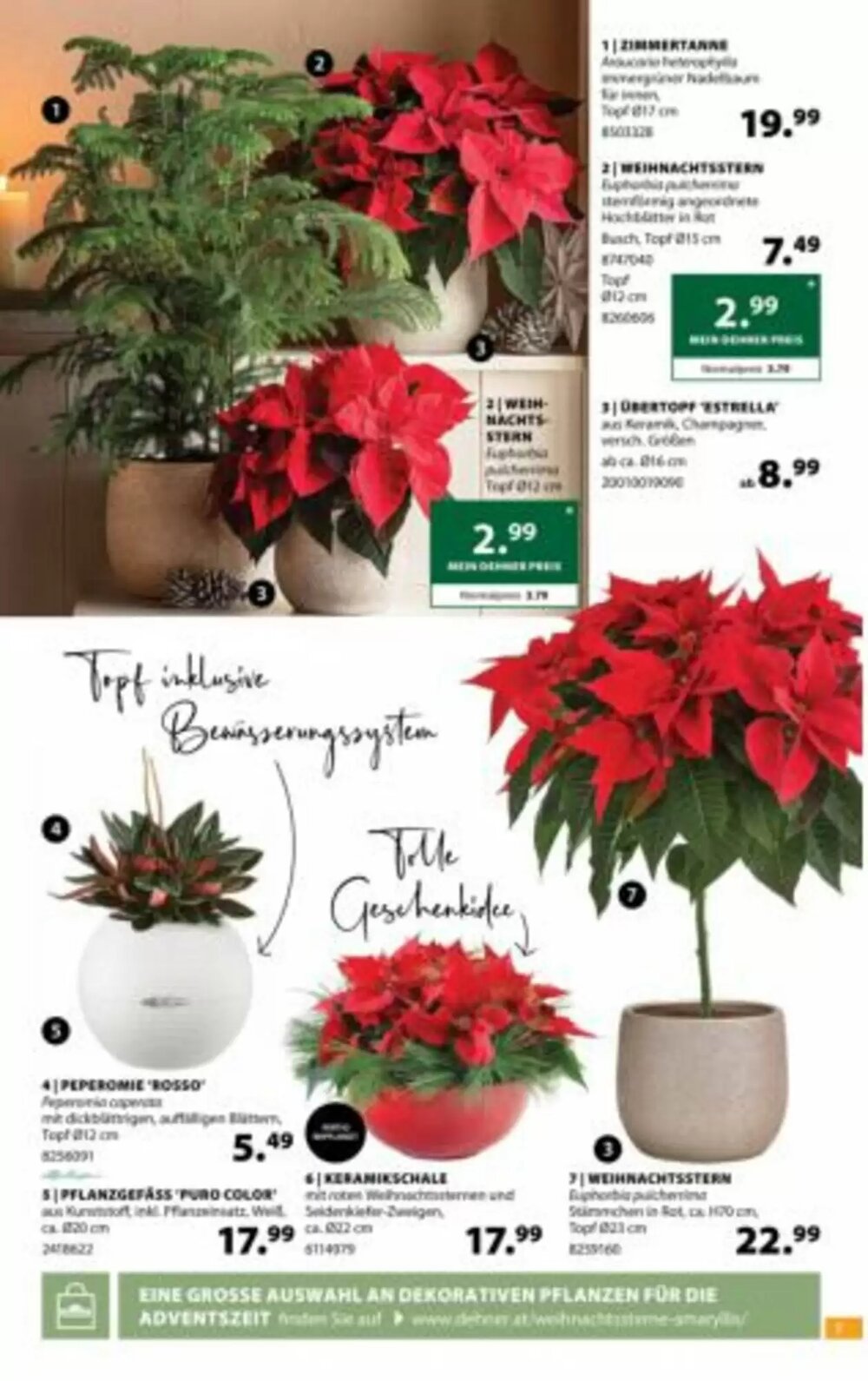 Dehner Flugblatt (ab 19.11.2025) - Angebote und Prospekt - Seite 7