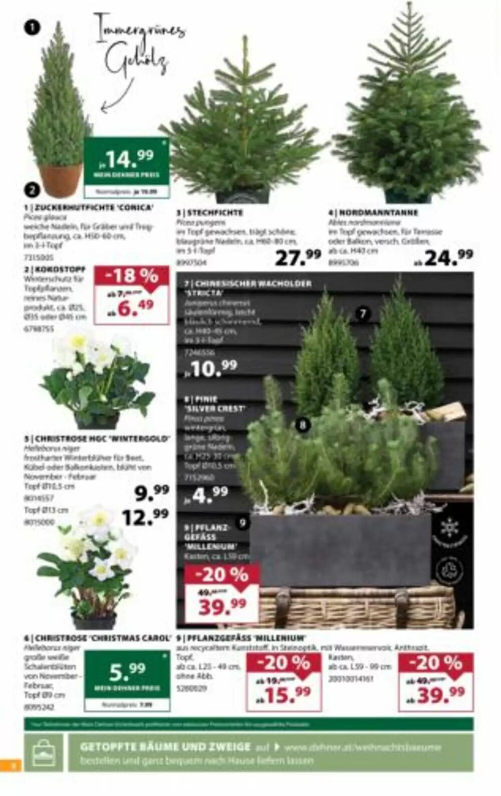 Dehner Flugblatt (ab 19.11.2025) - Angebote und Prospekt - Seite 8